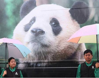 [포토] 에버랜드 떠나는 푸바오...전세기 타고 쓰촨성행