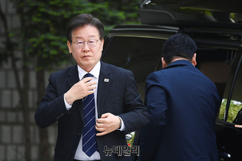 "사법리스크 이재명, 차기 대선 시기 중요" …방탄 위한 '4년 중임제' 개헌론 