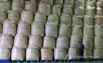 野, 포퓰리즘에 쌀 수출 경쟁력 추락한 태국 보고도 '양곡법 폭주' 할 건가