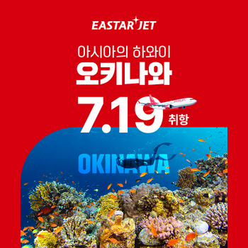 이스타항공, 7월 19일부터 인천∼오키나와 노선 매일 운항