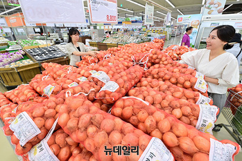 [포토] 농협 하나로마트, '맛난이' 양파 저렴하게 구매하세요