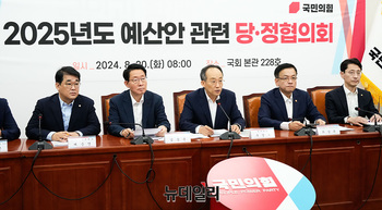 [포토] 예산안 당·정협의회, 발언하는 추경호 원내대표