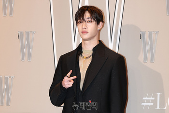 [영상] 스트레이키즈 방찬 '시크한 브이'