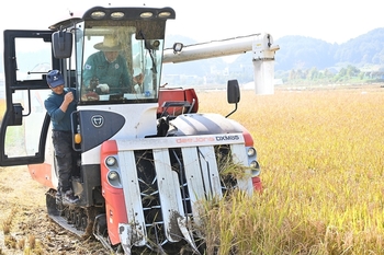 남아도는 쌀 비축비용 2兆 육박… 초과물량 매입의무 '양곡관리법' 부작용 커진다