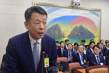 [포토] 정무위 국감 불려나온 김광일 MBK파트너스 부회장