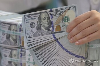 한국 경제 덮치는 '고환율 쓰나미', 안전 방파제가 안 보인다