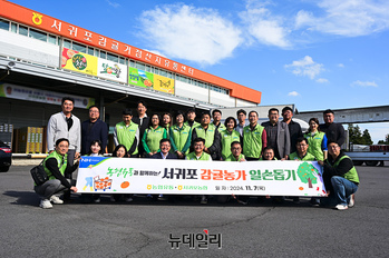 [포토] 농협유통 임직원, 제주 서귀포서 감귤 수확 일손돕기 실시