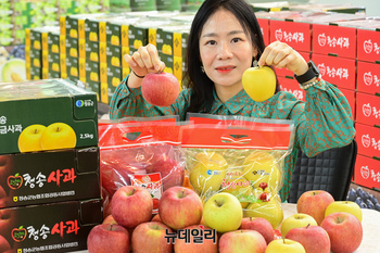 [포토] 농협 하나로마트 "청송서 온 '꼭지 달린 사과' 맛보세요"