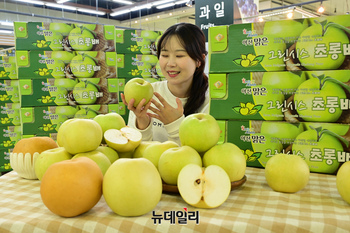 [포토] 농협 하나로마트 "신품종 배 '그린시스' 맛보세요"