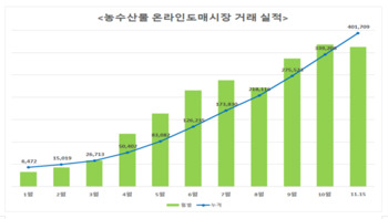 농수산물 온라인도매시장 거래액 4000억 돌파… "올해 5000억 달성"