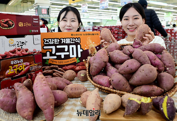 [포토] 농협 하나로마트 "겨울철 영양간식 '고구마' 어때요"