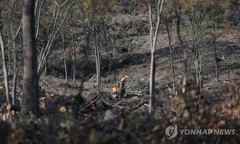 소나무재선충 못 막는 '부실 산림청'… 확산 방조에 예산낭비 비난 커진다