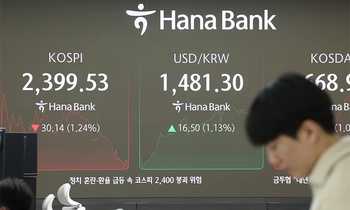 弗조절 안되는 환율에 'P-리스크' 기름, 보유 외환 3000억 달러면 '금융위기' 각오해야 