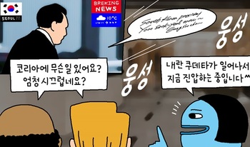 [윤서인의 뉴데툰] 내란 쿠데타?