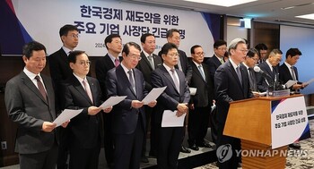 경영단체 "상법 개정 논의 중단하고 자본시장법 개정해야"