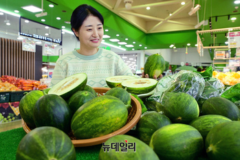 [포토] 농협 하나로마트 "봄철 잠깐 맛볼수 있는 '파파야 멜론' 맛보세요"