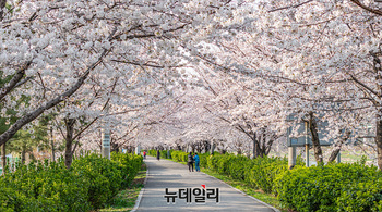 [포토] '봄이 왔어요'