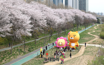 [포토] 벚꽃 만개한 양재천에 등장한 라이언-춘식이