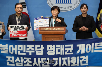[포토] 민주당 명태균게이트 진상조사단, 홍준표 전 시장 규탄 기자회견