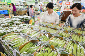 [포토] 농협 하나로마트 "갈증해소 도움주는 '오이' 드세요"