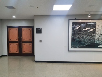 무사증 제주 입국 여성 타지 이동 도운 남성, 징역형 철퇴
