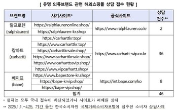 “칼하트 80% 할인”에 속았다…유명 브랜드 사칭 쇼핑몰 ‘소비자 피해 속출’