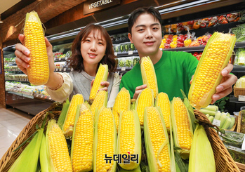 [포토] 현대백화점 "첫 수확한 달콤한 '초당옥수수' 맛보세요"
