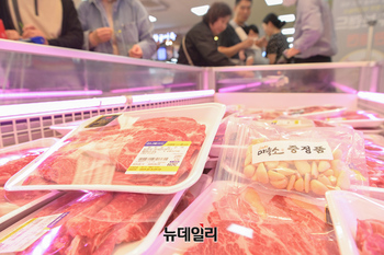 [포토] 농협 하나로마트 '의성마늘' 먹고 자란 '의성 마늘소' 판촉 행사