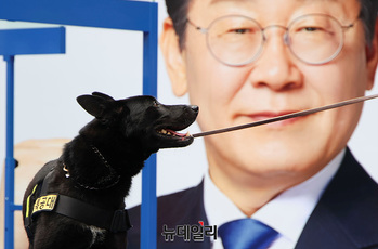 [포토] 이재명 유세장 수색하는 폭발물 탐지견