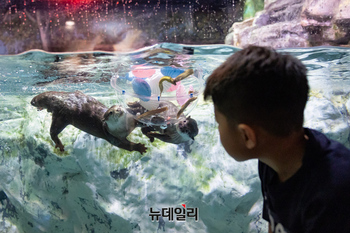 [포토] 롯데월드 아쿠아리움, 세계수달의날 기념 '해양보전 토크콘서트' 진행