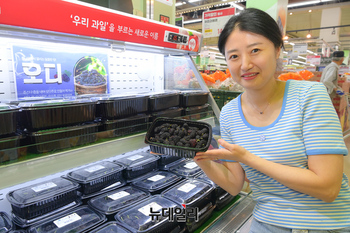 [포토] 농협 하나로마트, 블랙푸드 대명사 '오디' 첫 출하