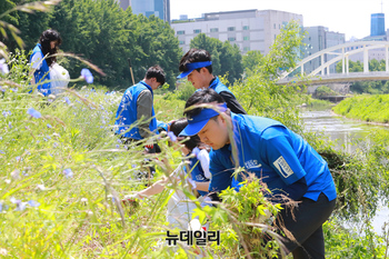 [포토] 동아오츠카 ‘세계환경의날’ 맞아 FC안양과 생태계 교란 식물제거 활동 