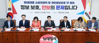 [포토] 국민의힘 SK텔레콤 소비자권익 및 개인정보보호 TF 회의