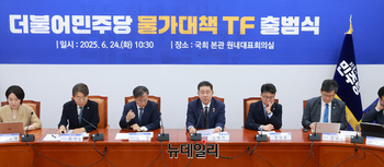 [포토] 민주당 물가대책TF 출범식