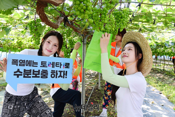 [포토] 토레타! 대학생 농촌봉사단체에 음료 12,000개 지원