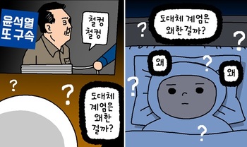 [윤서인의 뉴데툰] 도대체 계엄은 왜 한 걸까?
