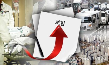 내달 보험료 인상 예고 … 주요 손보사 예정이율 인하 검토