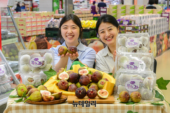 [포토] 농협유통 하나로마트 "올해 첫 '무화과' 맛보세요"
