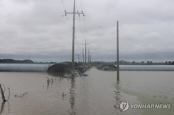 물폭탄 예고됐는데, 벼·콩·수박·돼지·닭 다 쓸려갔다… 당국 폭우 선제대응 '도마'