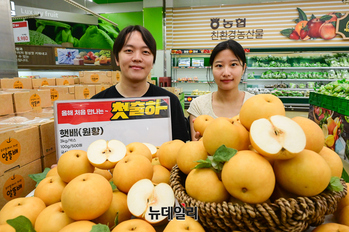 [포토] 농협유통 하나로마트, 2025년 가을 원황 품종 '햇 배' 첫 판매