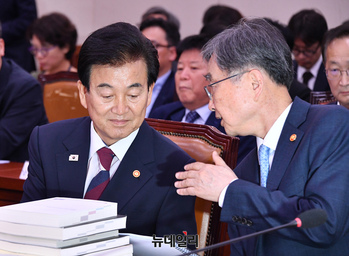 [포토] 대화 나누는 정동영·조현 장관