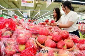 [포토] 농협유통 하나로마트, 추석 인기 제수용 '홍로' 햇사과 판매