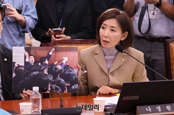 [포토] 법사위서 신상발언 하는 나경원 국민의힘 의원