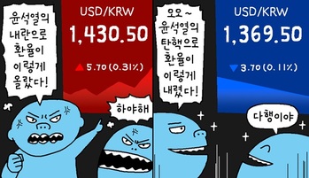 [윤서인의 뉴데툰] 환율