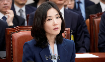 [포토] 국정감사 출석한 김진아 외교부 2차관 