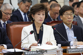 [포토] 행안위 국감 출석한 박선영 진실화해위원장