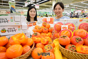 [포토] 농협유통 하나로마트 "씨 없는 감 '청도 반시' 맛보세요"