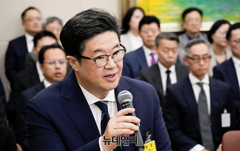 [포토] 정무위 국정감사 출석한 김병주 MBK파트너스 회장 