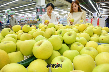 [포토] 농협유통 하나로마트 "가을 담은 황금사과 '시나노 골드' 맛보세요"