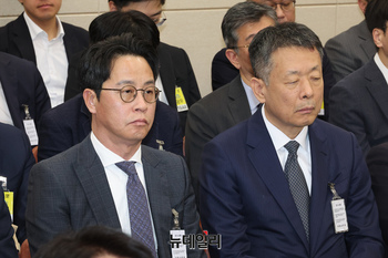 [포토] 국정감사 출석한 조좌진 롯데카드 대표와 김광일 MBK 대표이사